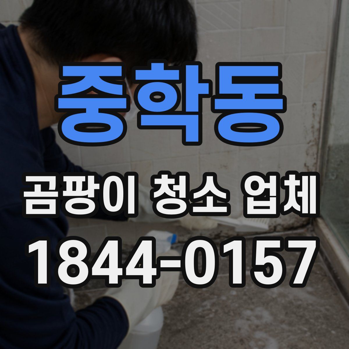 중학동 곰팡이 청소 업체