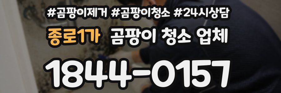 종로1가 곰팡이 청소 업체
