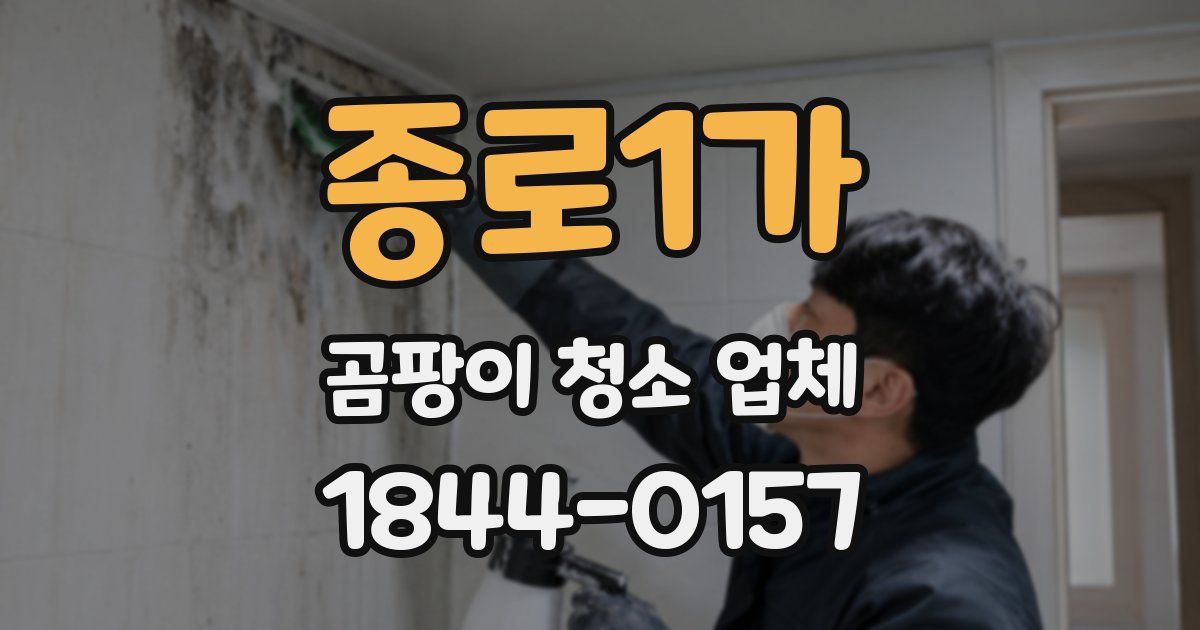 종로1가 곰팡이 청소 업체