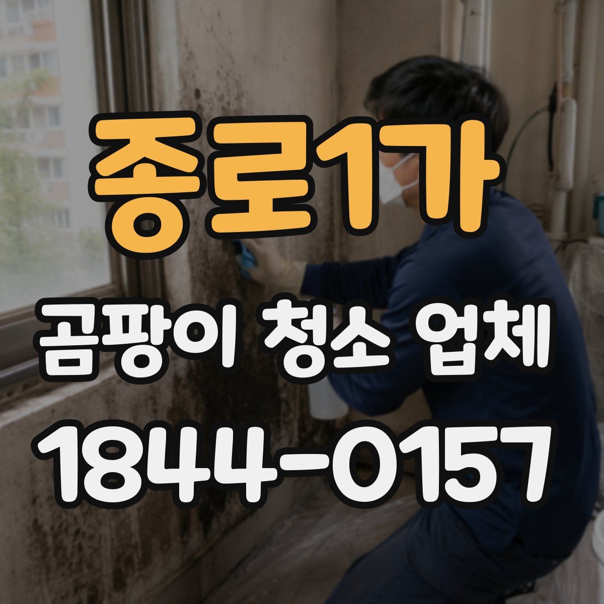 종로1가 곰팡이 청소 업체