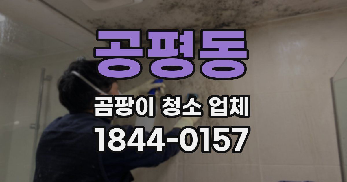 공평동 곰팡이 청소 업체