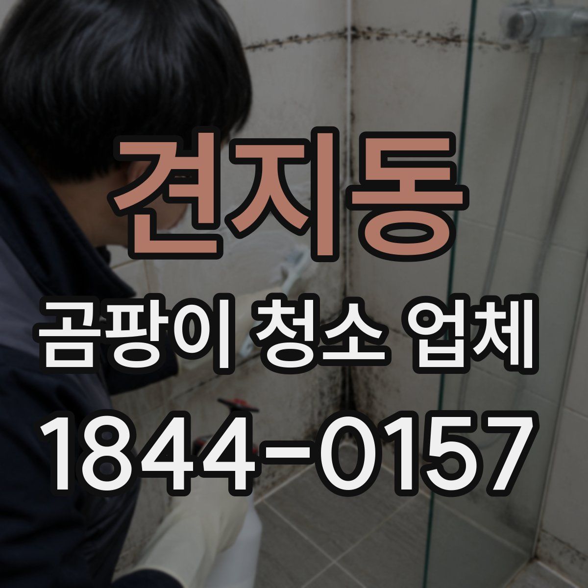 견지동 곰팡이 청소 업체