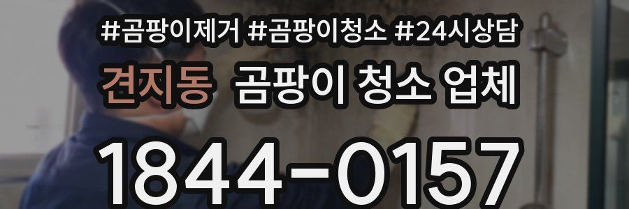 견지동 곰팡이 청소 업체