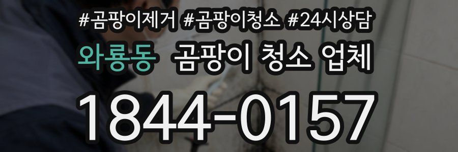 와룡동 곰팡이 청소 업체