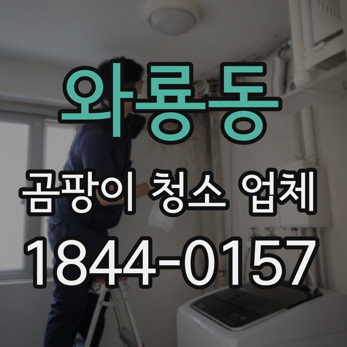 와룡동 곰팡이 청소 업체