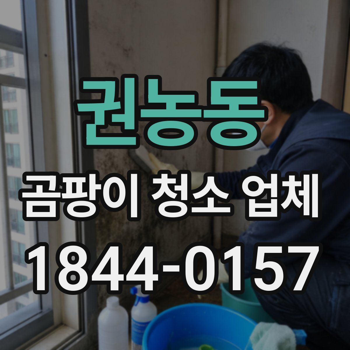 권농동 곰팡이 청소 업체