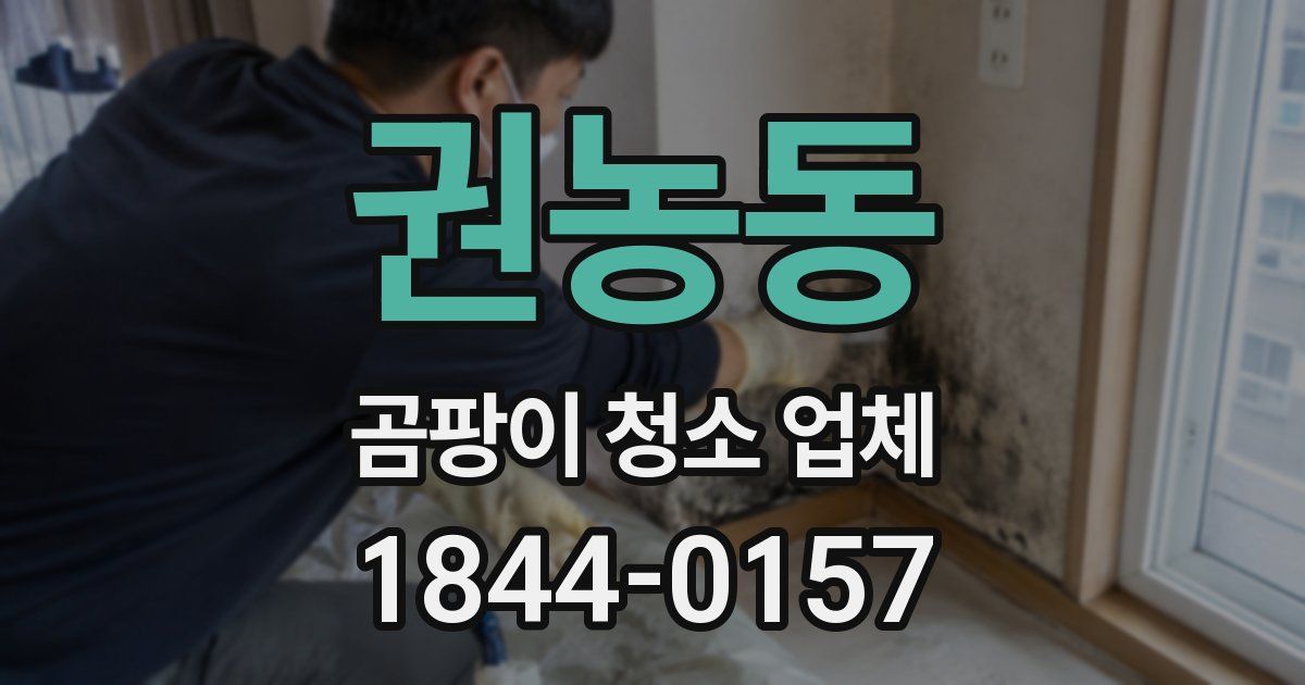 권농동 곰팡이 청소 업체