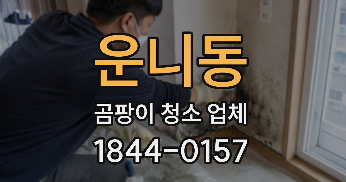 운니동 곰팡이 청소 업체