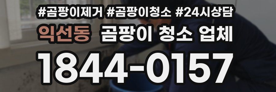 익선동 곰팡이 청소 업체