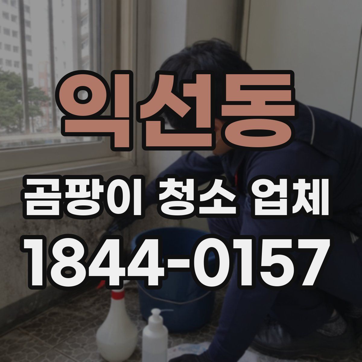 익선동 곰팡이 청소 업체
