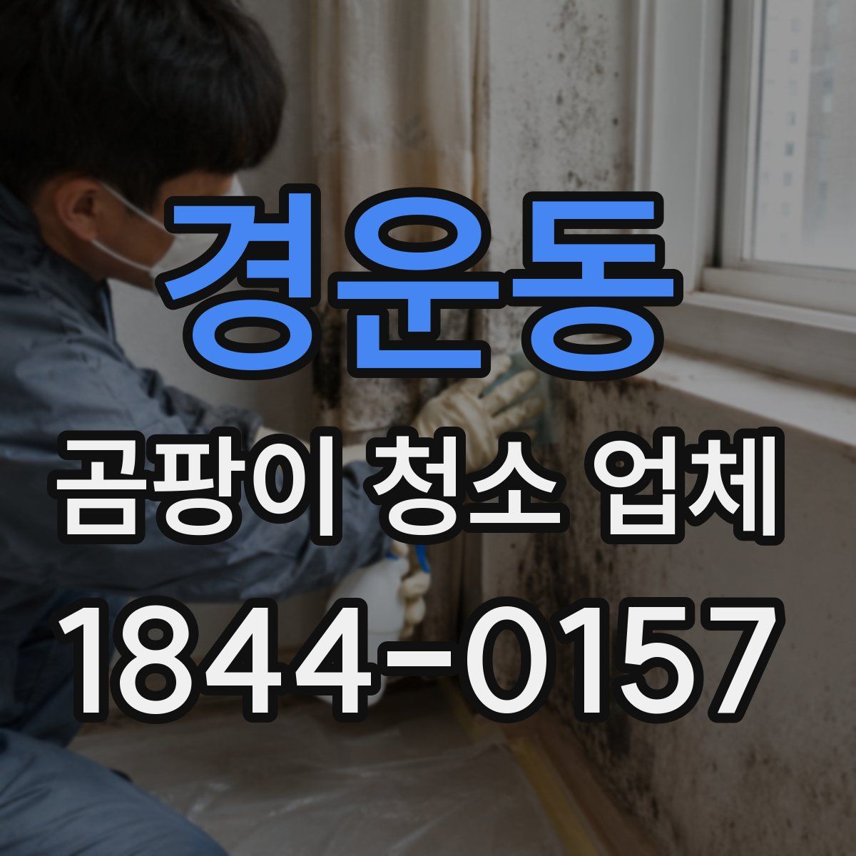 경운동 곰팡이 청소 업체