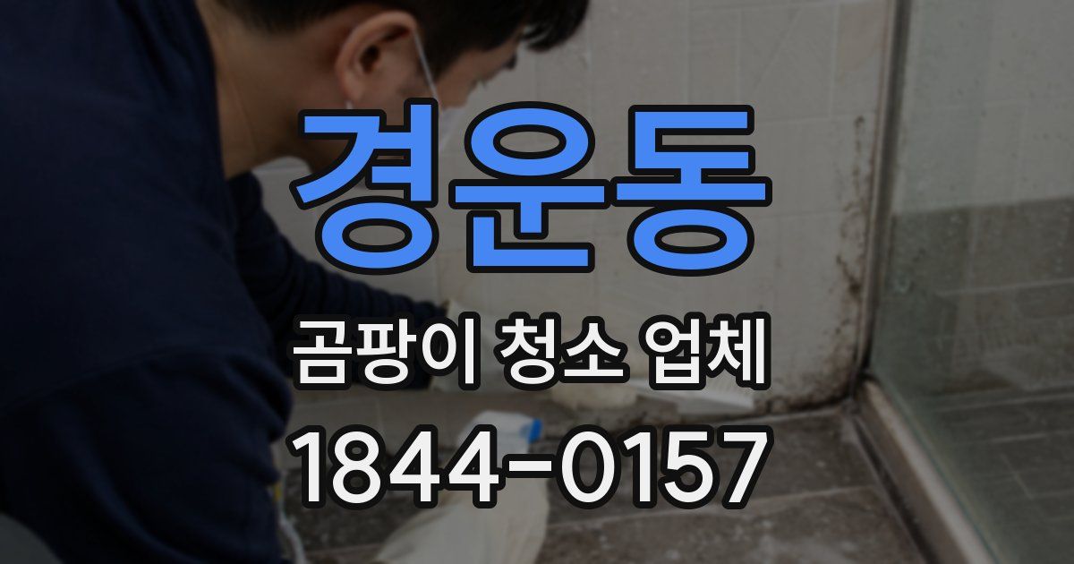 경운동 곰팡이 청소 업체