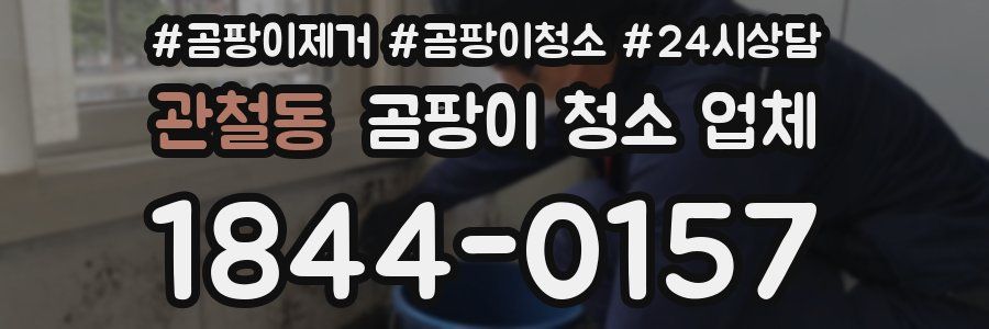 관철동 곰팡이 청소 업체