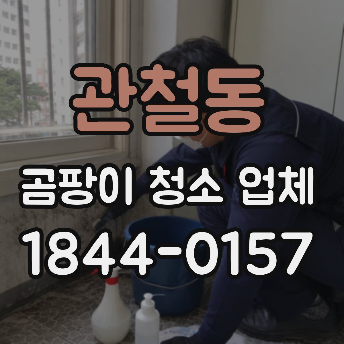 관철동 곰팡이 청소 업체