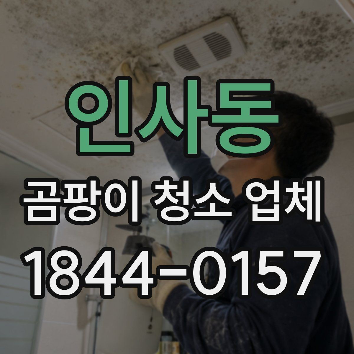 인사동 곰팡이 청소 업체 옷장 내부 냄새와 곰팡이를 살피는 포인트