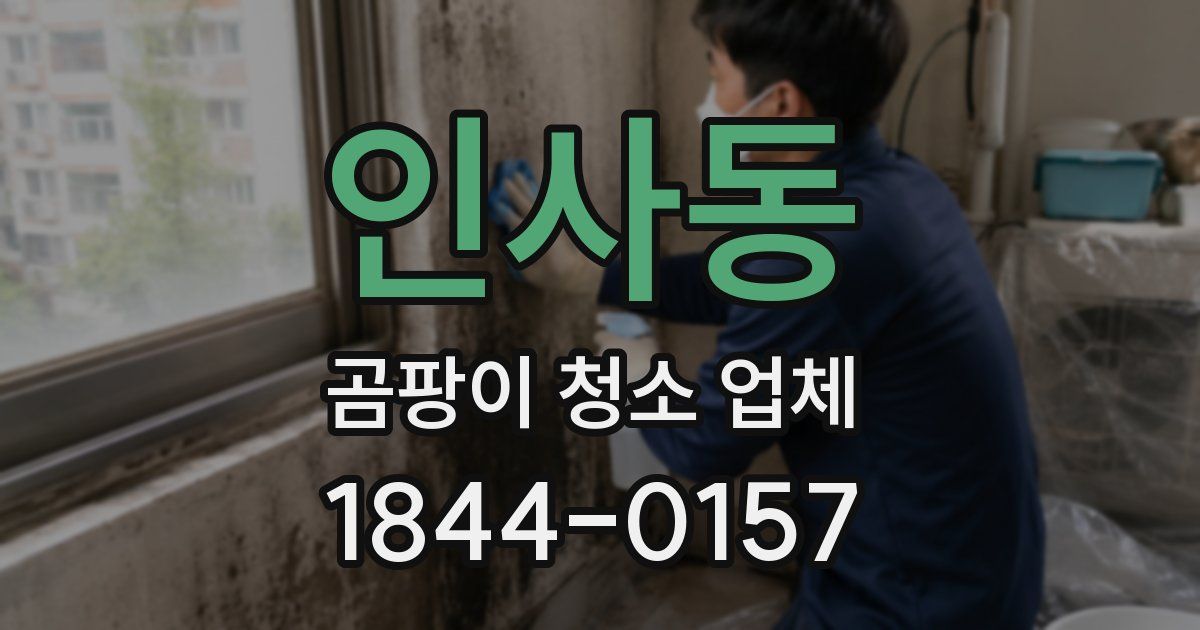 인사동 곰팡이 청소 업체