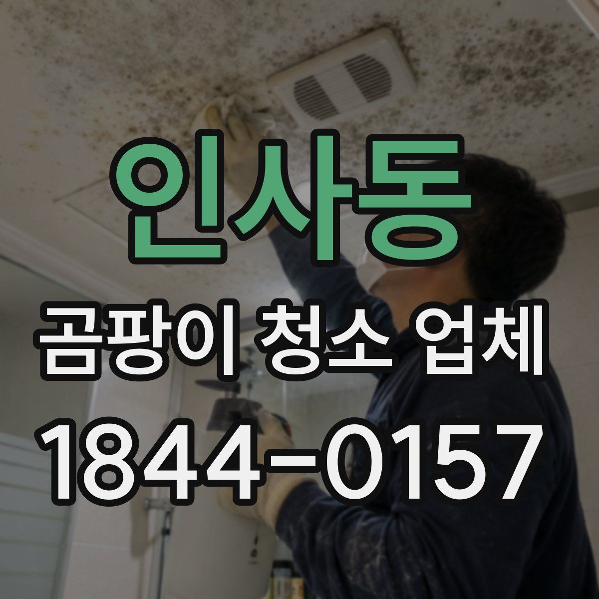 인사동 곰팡이 청소 업체
