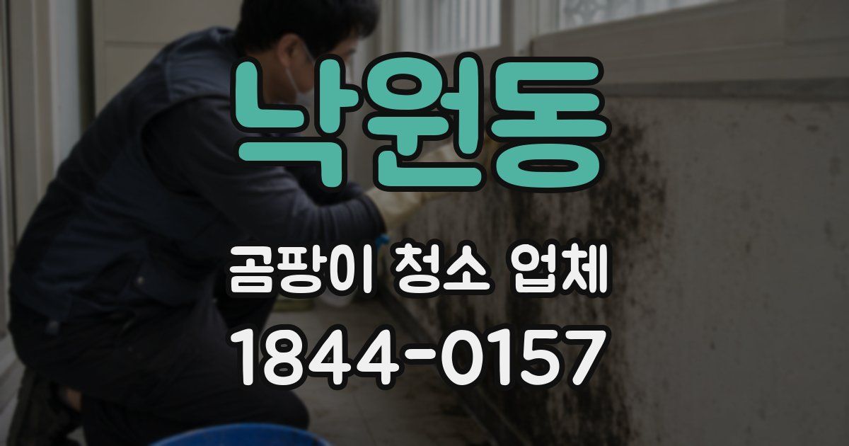 낙원동 곰팡이 청소 업체