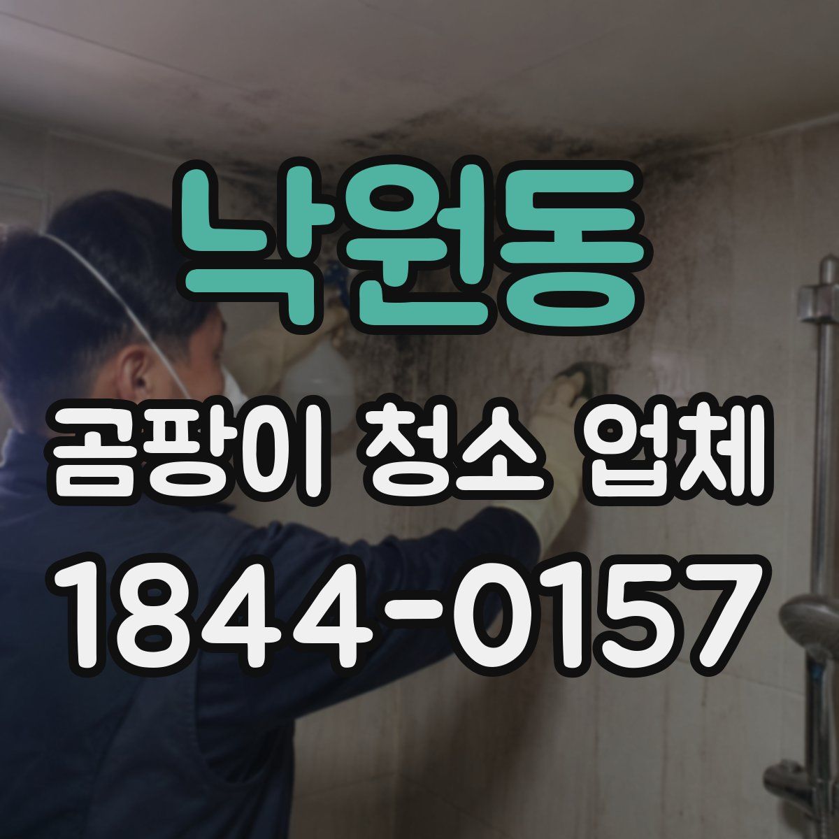 낙원동 곰팡이 청소 업체