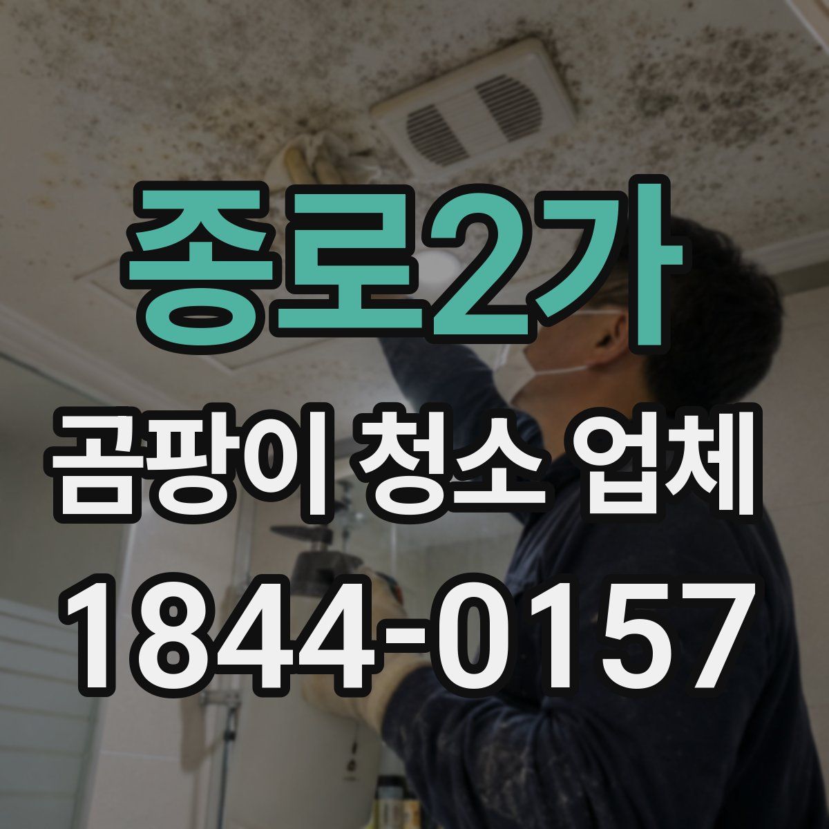 종로2가 곰팡이 청소 업체