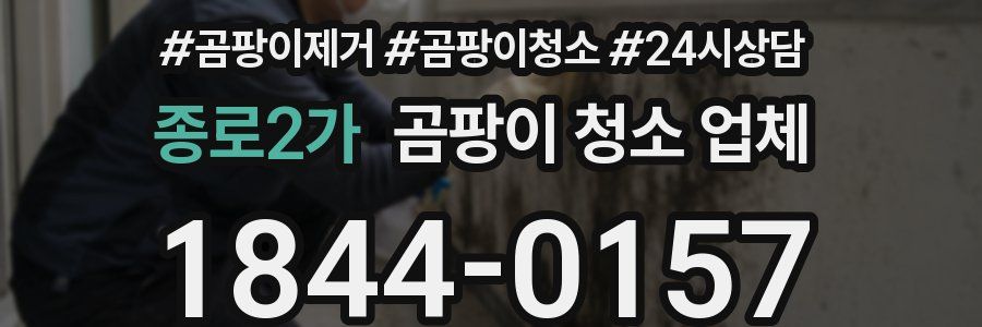 종로2가 곰팡이 청소 업체