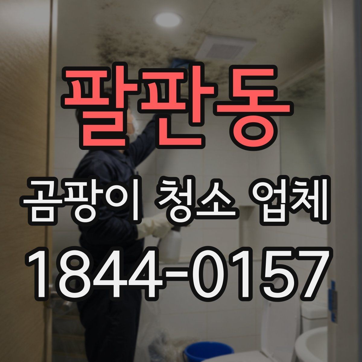 팔판동 곰팡이 청소 업체 장마철 실내 습도 높을 때 대비하는 방법