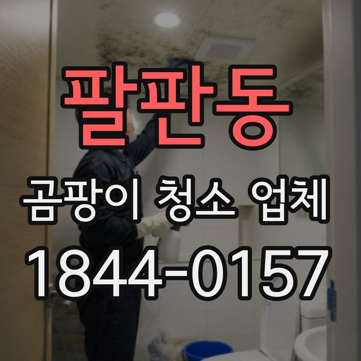 팔판동 곰팡이 청소 업체