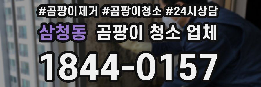 삼청동 곰팡이 청소 업체