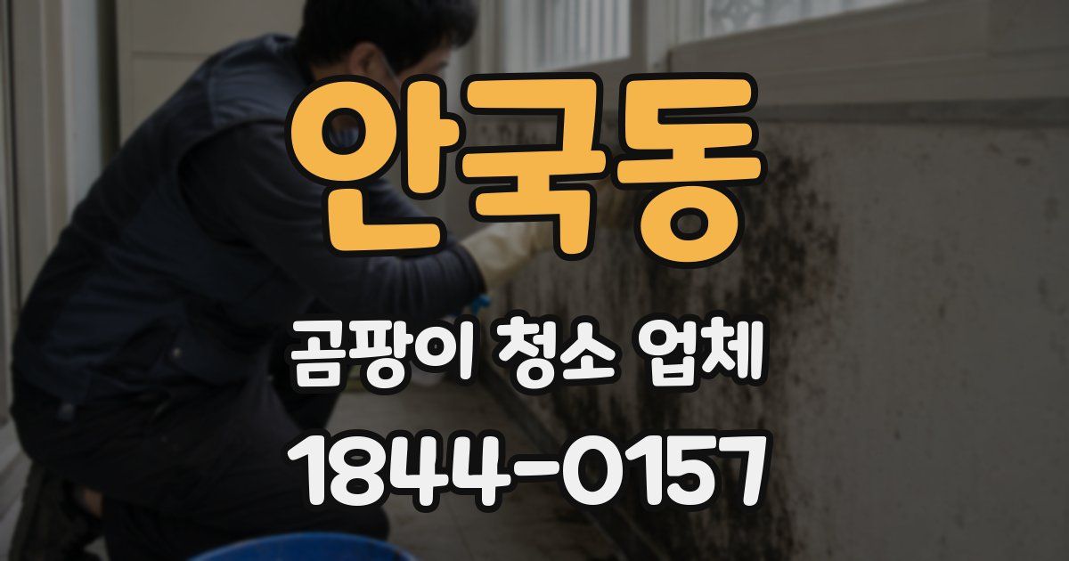 안국동 곰팡이 청소 업체