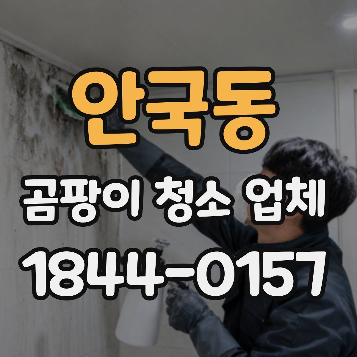 안국동 곰팡이 청소 업체