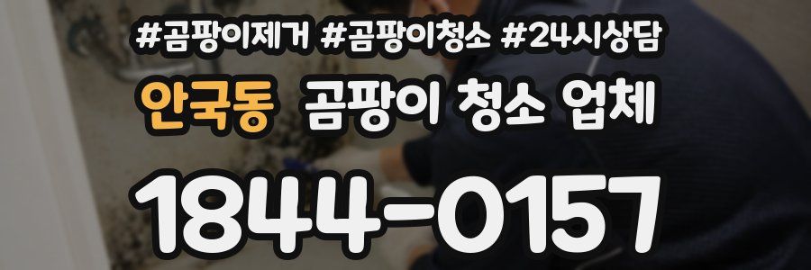 안국동 곰팡이 청소 업체