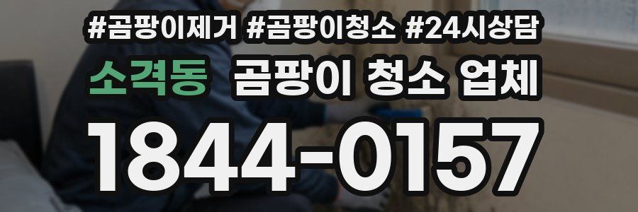 소격동 곰팡이 청소 업체