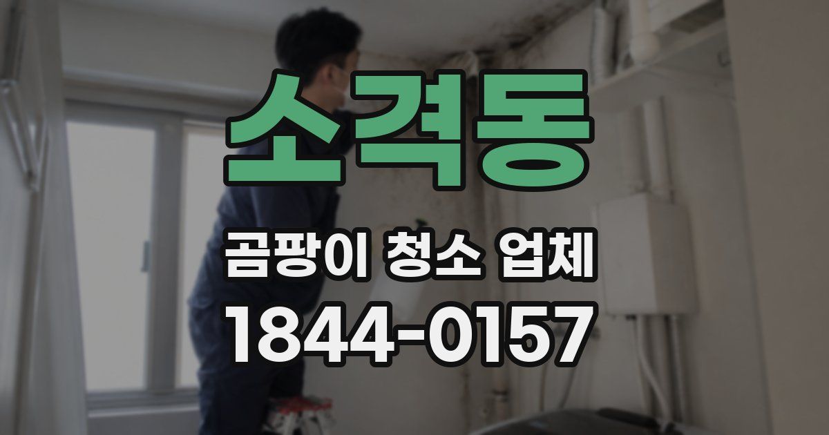소격동 곰팡이 청소 업체