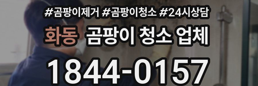 화동 곰팡이 청소 업체