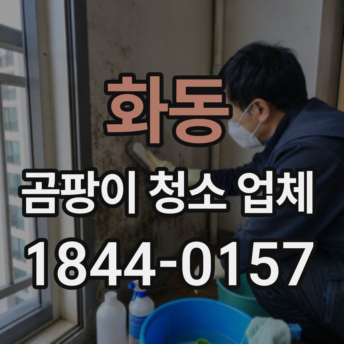 화동 곰팡이 청소 업체