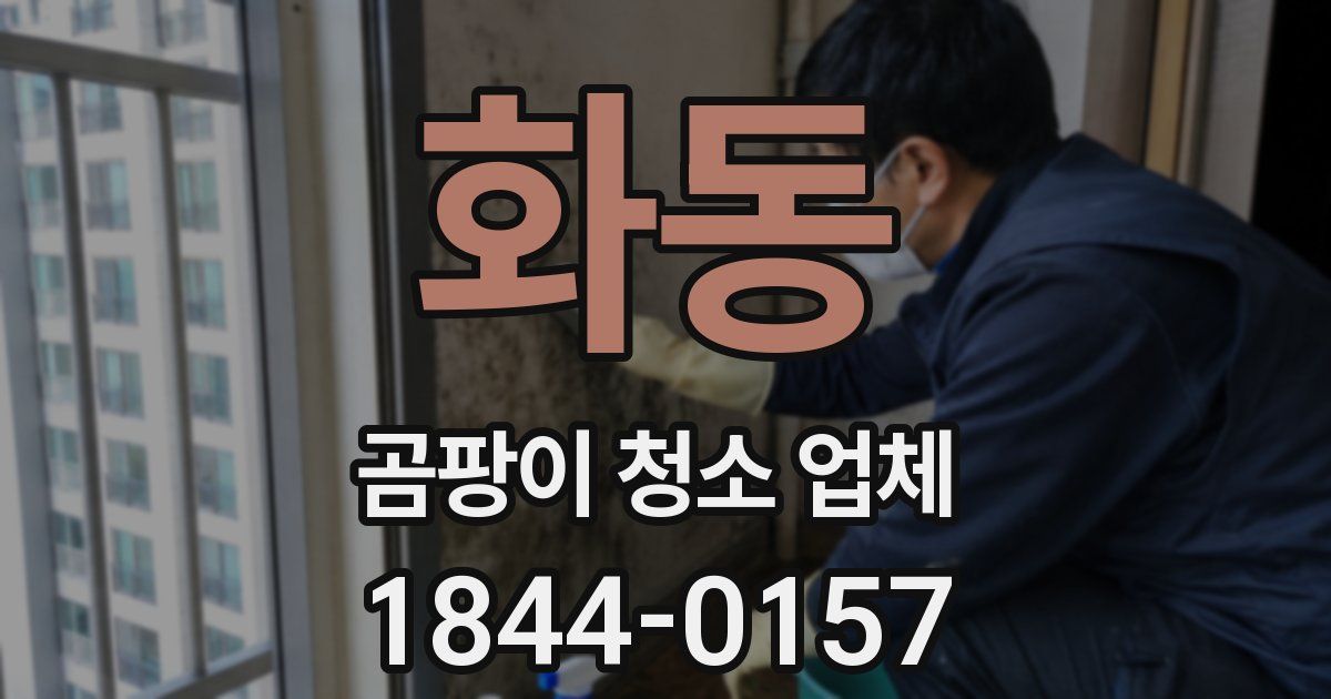 화동 곰팡이 청소 업체