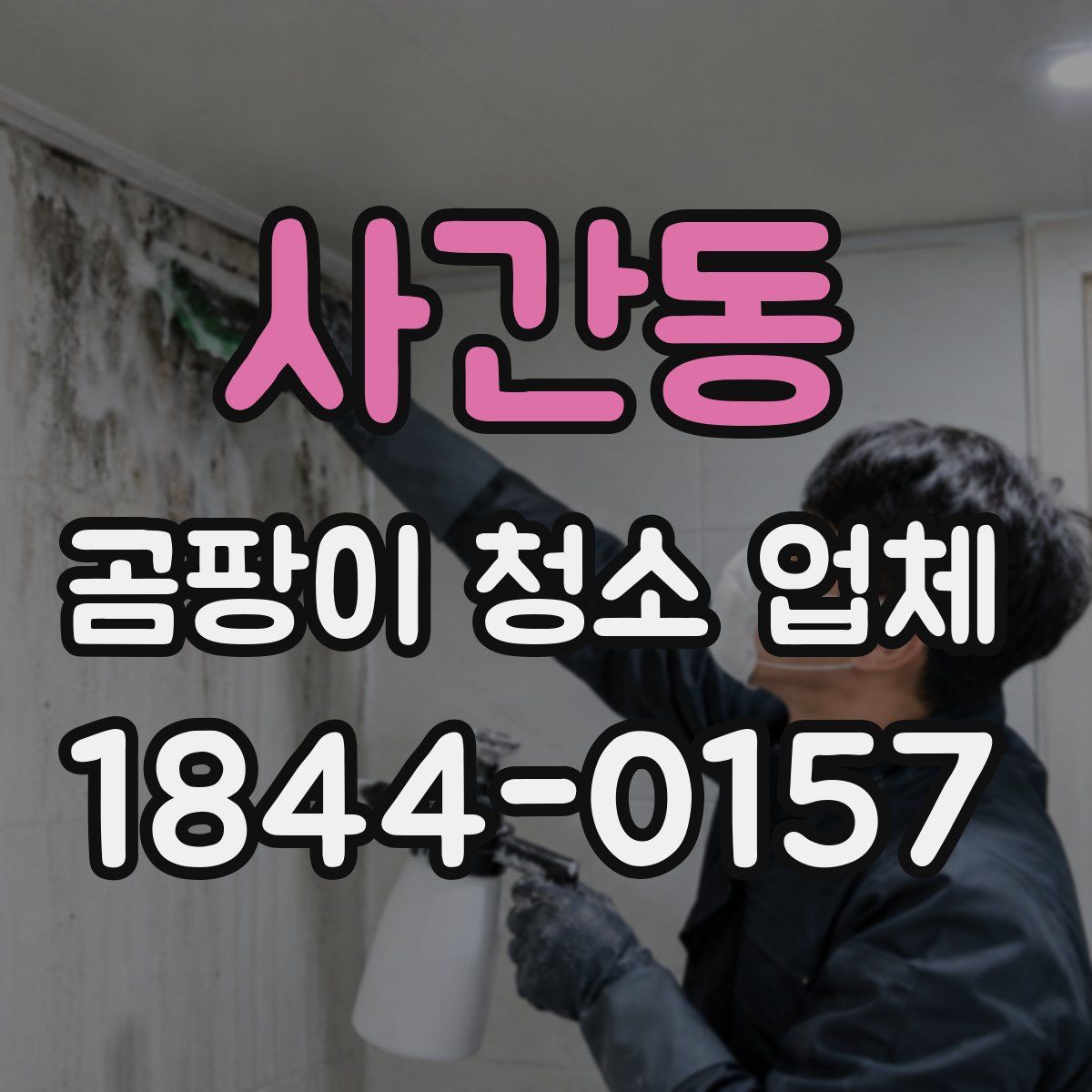 사간동 곰팡이 청소 업체
