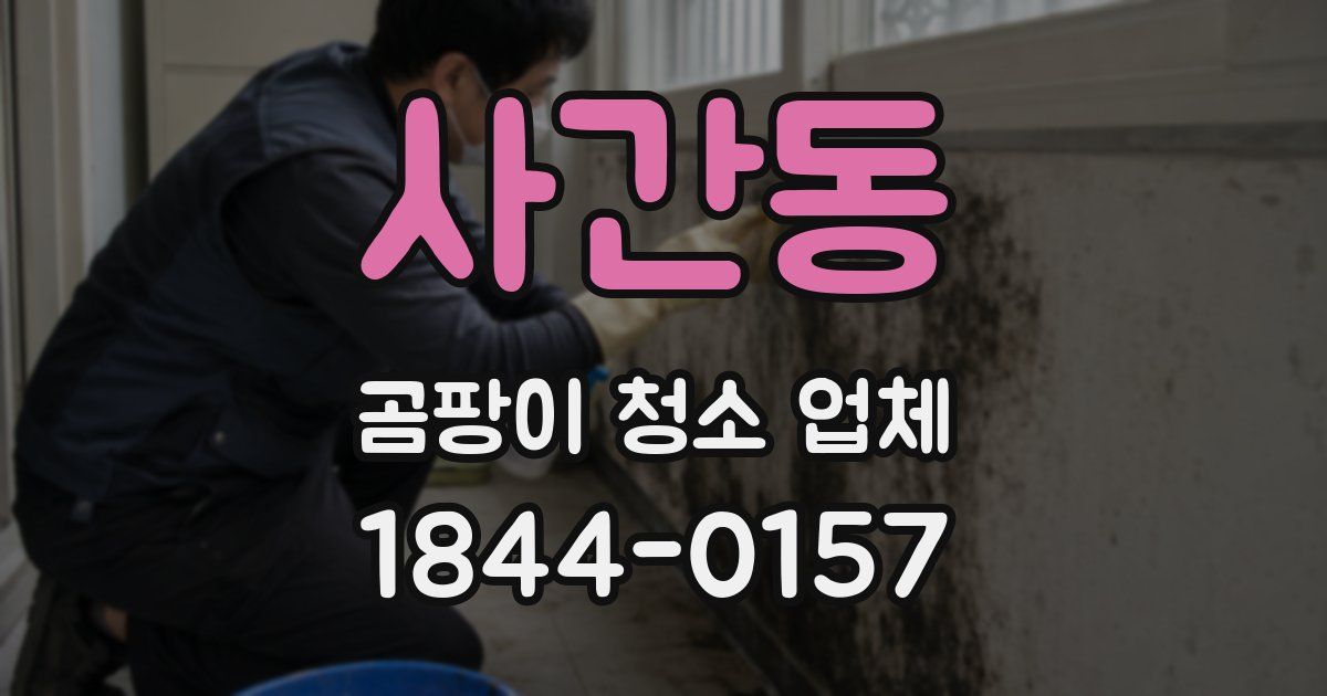 사간동 곰팡이 청소 업체