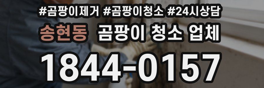 송현동 곰팡이 청소 업체