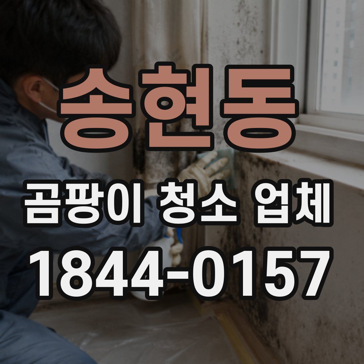 송현동 곰팡이 청소 업체
