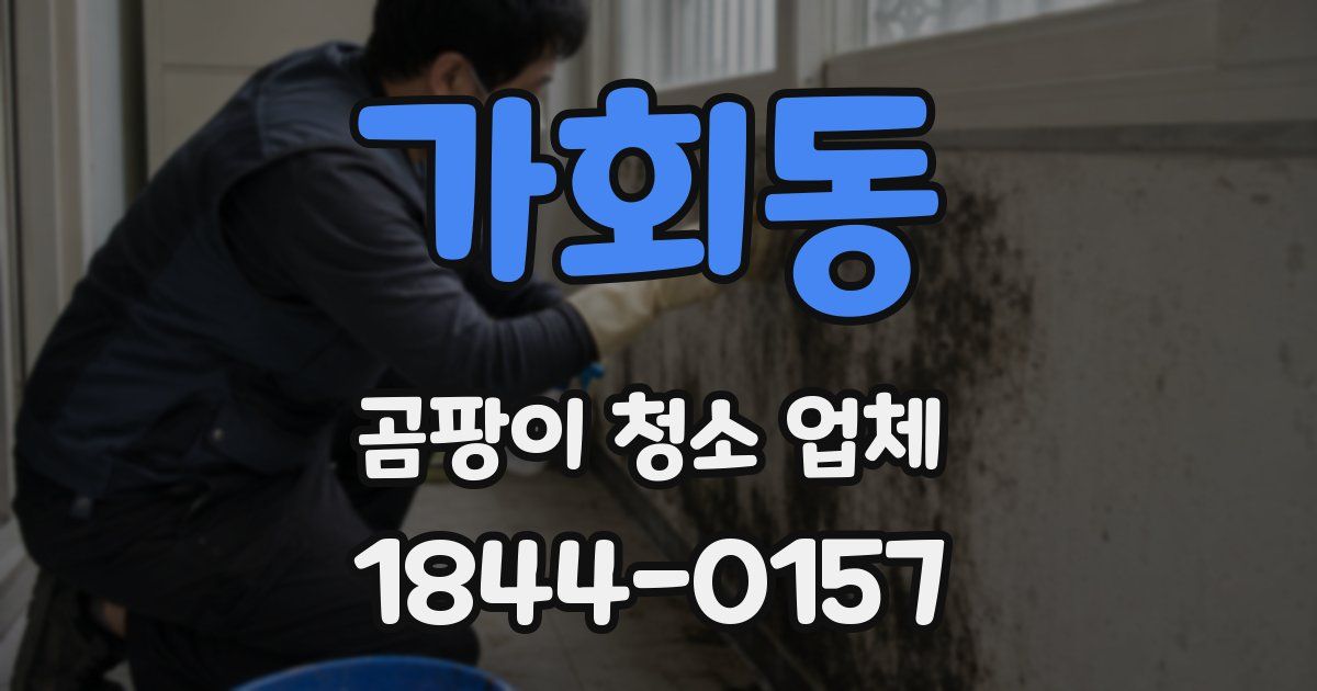 가회동 곰팡이 청소 업체