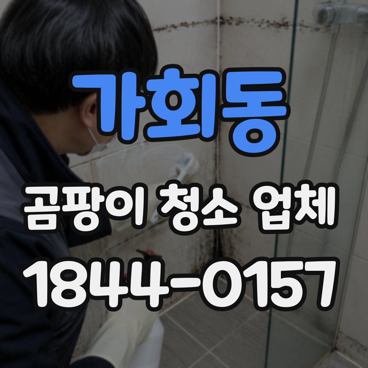 가회동 곰팡이 청소 업체