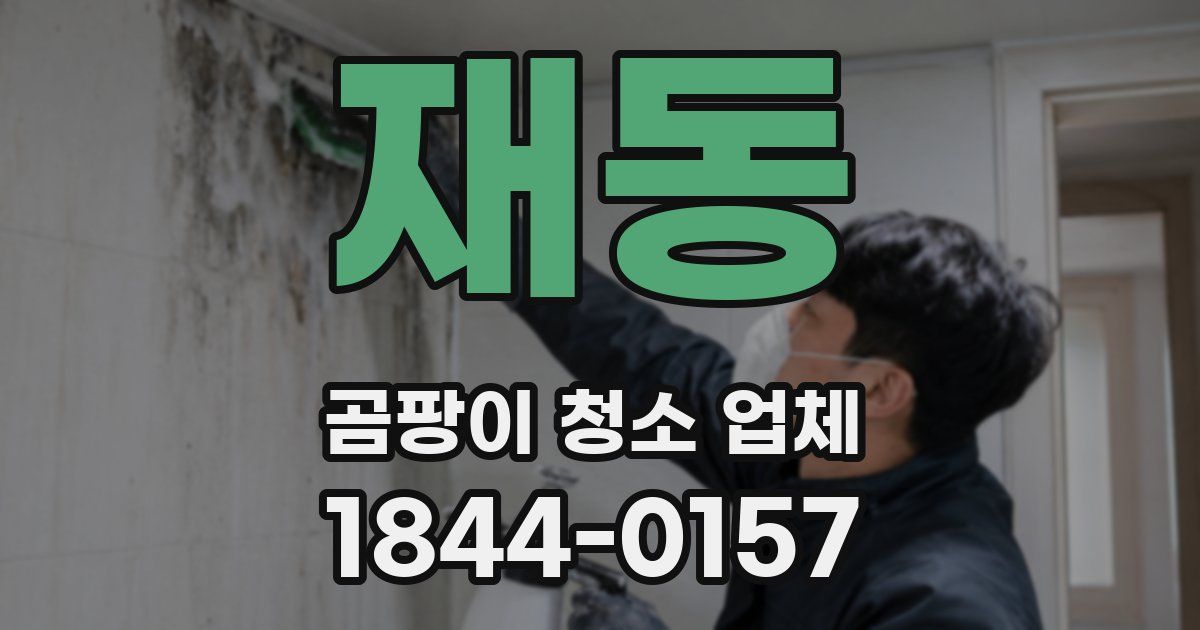 재동 곰팡이 청소 업체