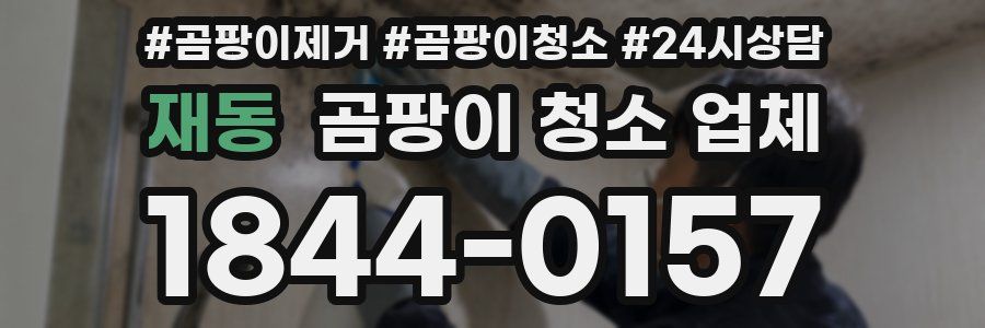 재동 곰팡이 청소 업체