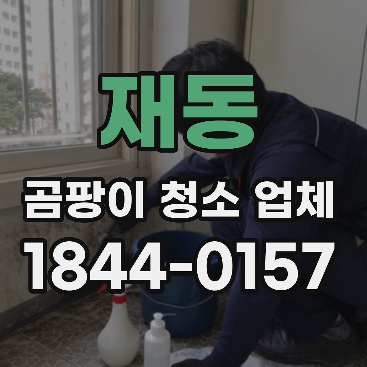 재동 곰팡이 청소 업체