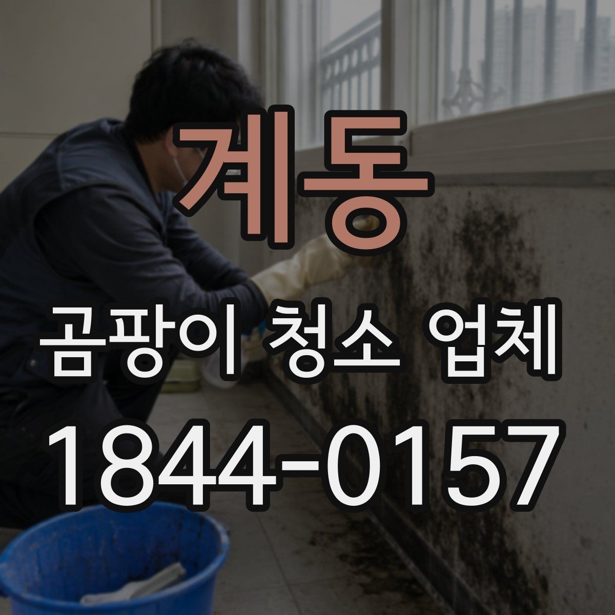 계동 곰팡이 청소 업체 침구와 패브릭 오염에 대응하는 실무 방법