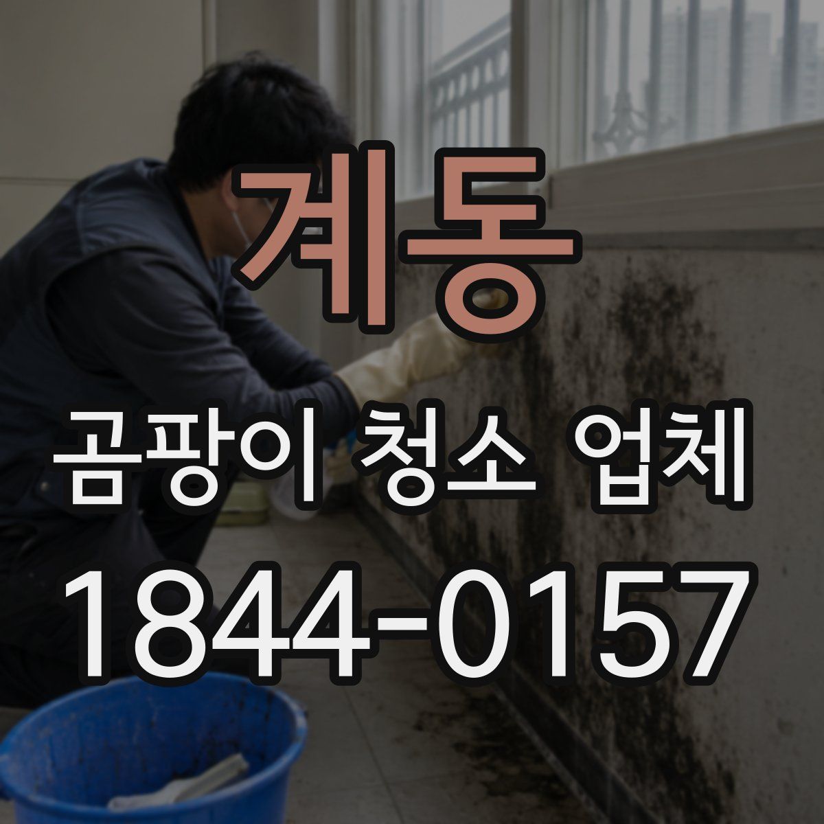 계동 곰팡이 청소 업체