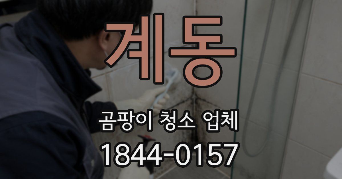 계동 곰팡이 청소 업체