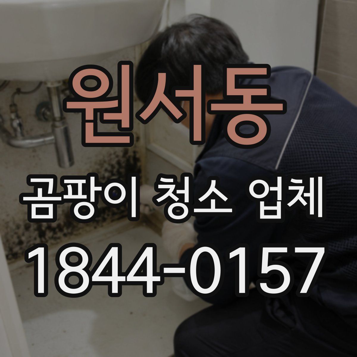 원서동 곰팡이 청소 업체