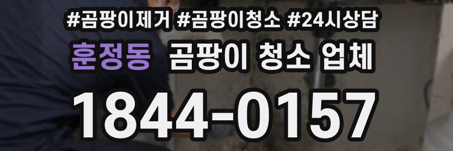 훈정동 곰팡이 청소 업체